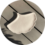 leaf-vassoio-decorativo