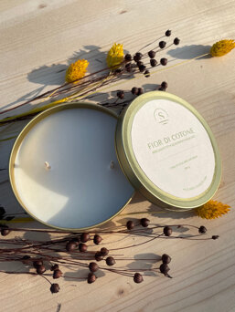 1d8ea8ea-8a73-43a5-ae07-1a536712f4c3