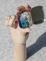 the-manta-ray-that-flew