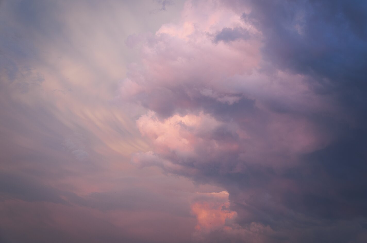064ca939-f44d-4d34-baa9-126a069071ef