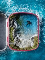 the-manta-ray-that-flew