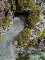 the-hermit-and-his-solitude