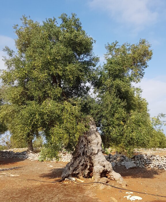 9f78efe3-58f8-47ad-bcd1-9fad4843d46e