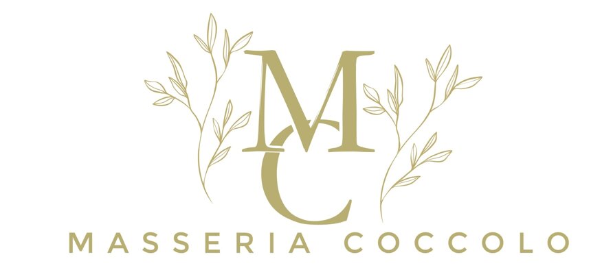 logo maira grande rettangolare fatto dal mago definitivo jpg.jpeg