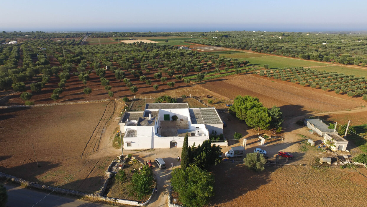 6aa19dbe-cc85-469e-b698-bae95f689d0f 6aa19dbe-cc85-469e-b698-bae95f689d0f