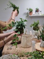 workshop-kokedama