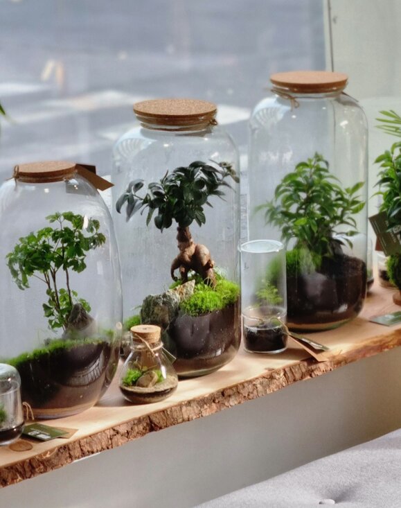 a8f44965-fd11-4835-8dcb-9f4f4235757a