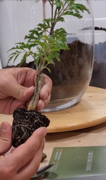 a6d72705-a0eb-49f6-860a-fc3284613f08