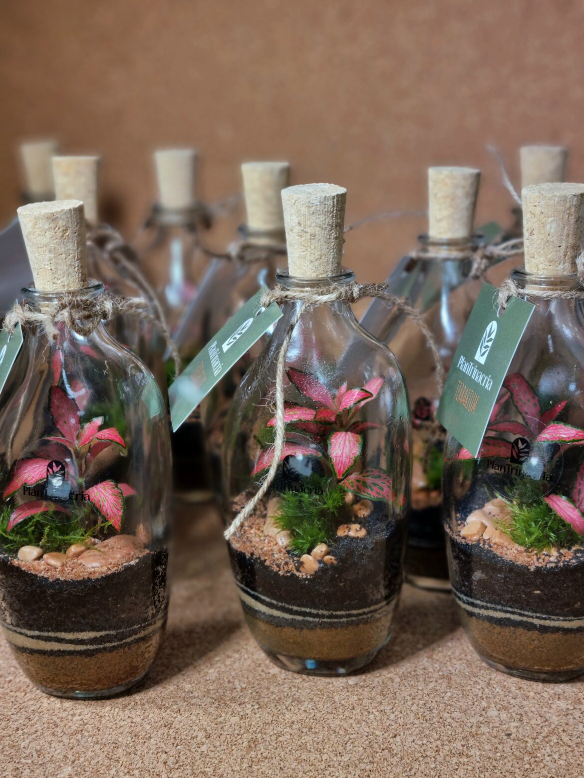 f4be4555-bca2-4b4c-9a04-f6e186efacfd