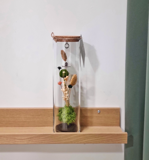 882ad0d0-c8d8-44cf-aac1-cf271ebcdfcc