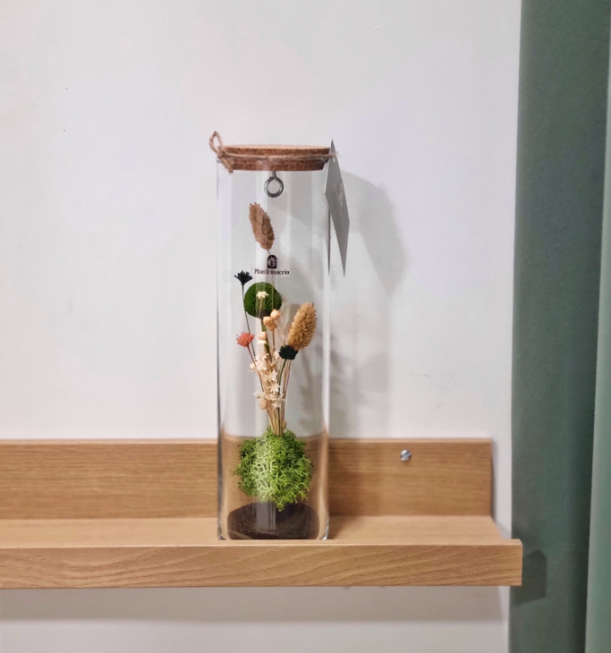 882ad0d0-c8d8-44cf-aac1-cf271ebcdfcc