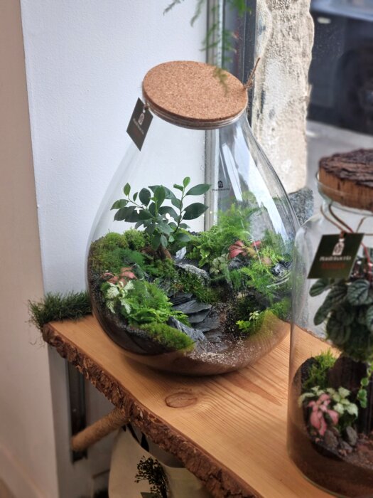 5b374cac-1587-4211-b85f-c20466f5da51