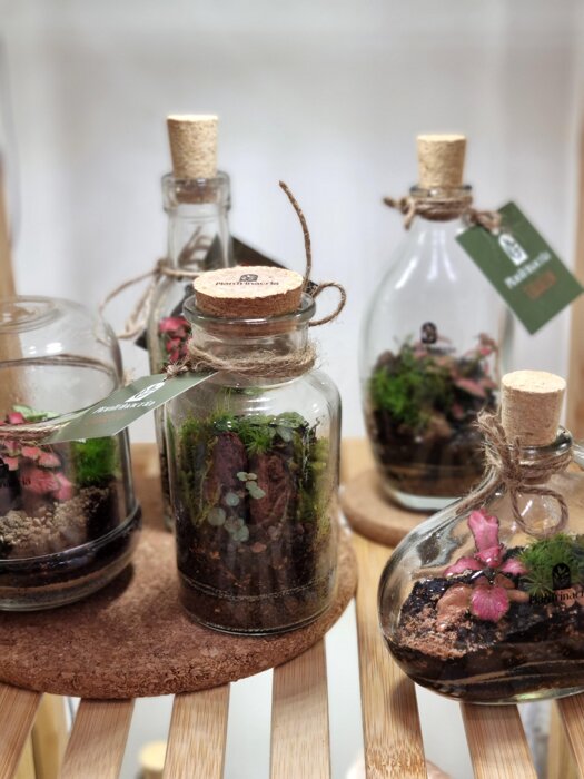 806ec79e-d80a-4a4d-b098-25dcf351a0de