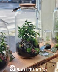 12a8867b-348a-4733-9f14-8ee284ee4cf1