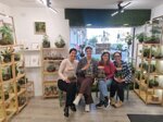 workshop-terrarium