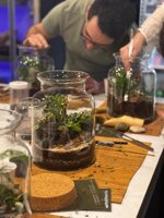workshop-terrarium