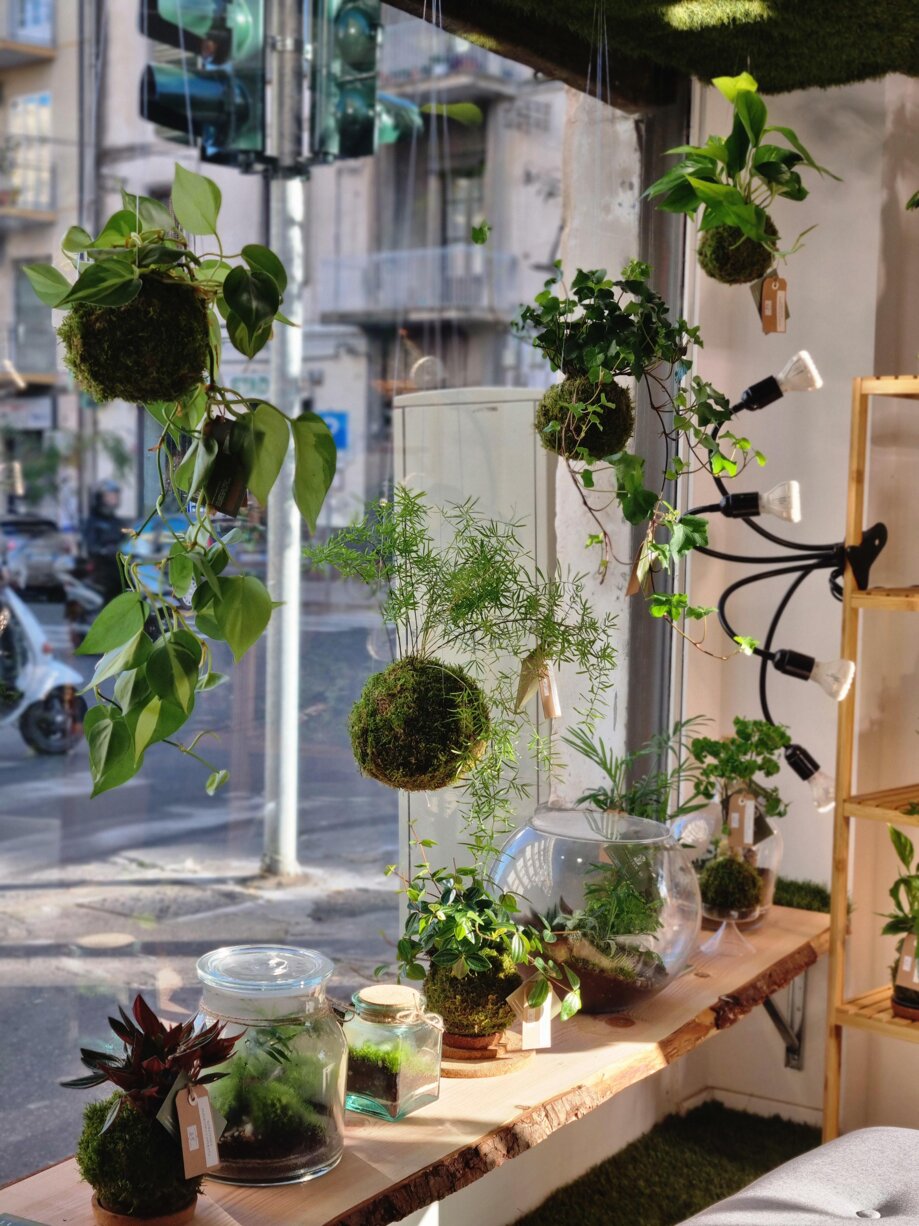 9316c7ce-659a-47fc-87c2-325ef61e4142