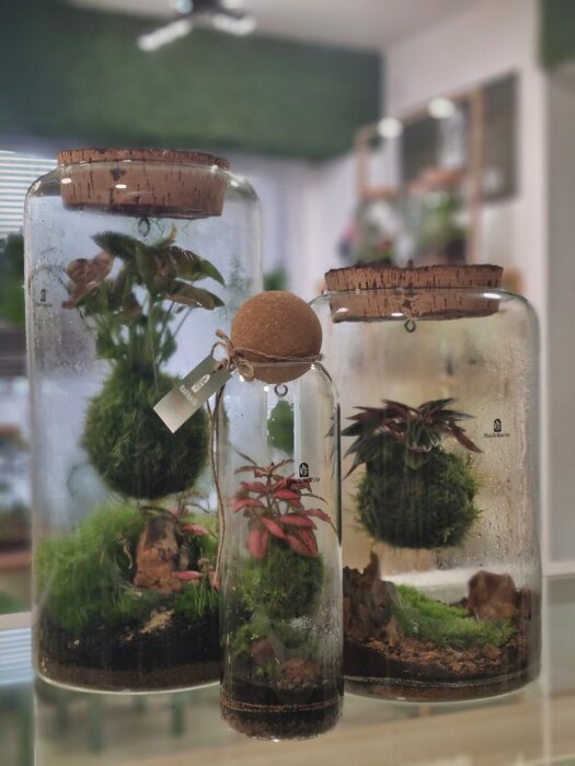 027da8a1-b384-42d1-9663-38dadacf6e8c