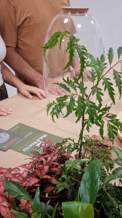 faa2fec6-246e-4bb5-88e8-524230d4a215