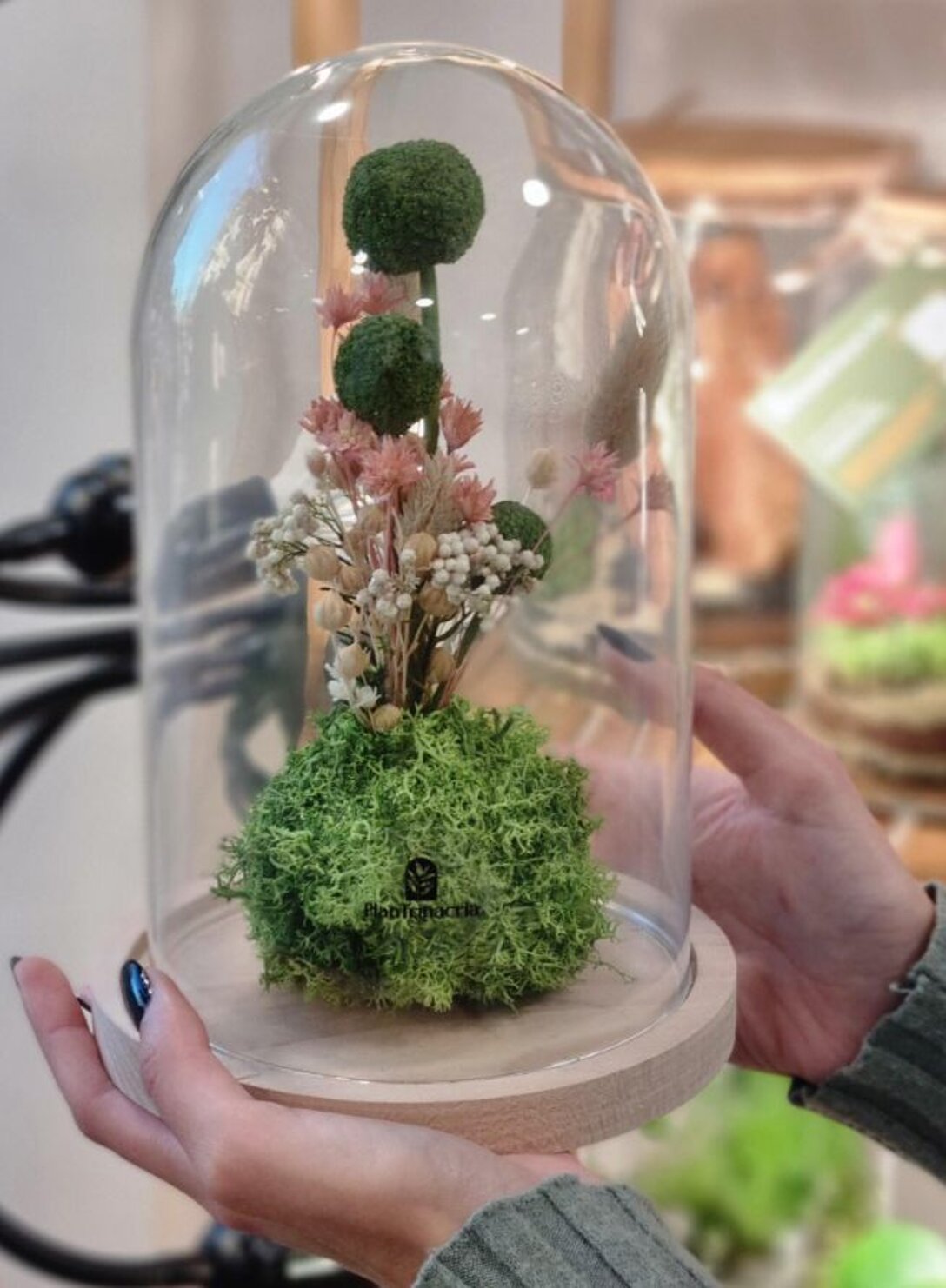 538dce07-ec08-4f0f-9df1-7d093a71b340