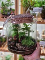 gift-card-workshop-terrarium