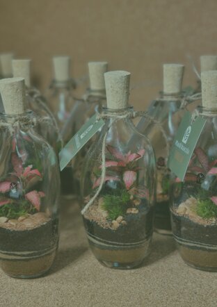 5c24c6ac-53fe-4cf6-87bb-8d8922a74cd4