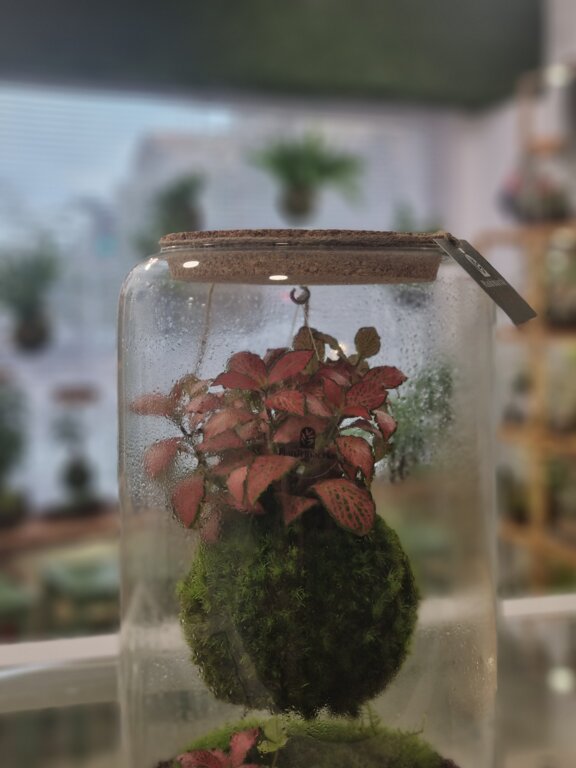 5272fe23-97e6-4eb2-8032-49a9bcb37096