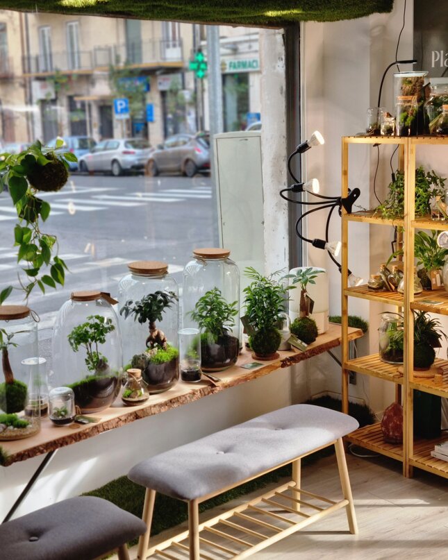 03c5fba3-6e50-4079-a906-2ab497c44fba