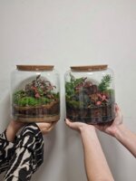 gift-card-workshop-terrarium