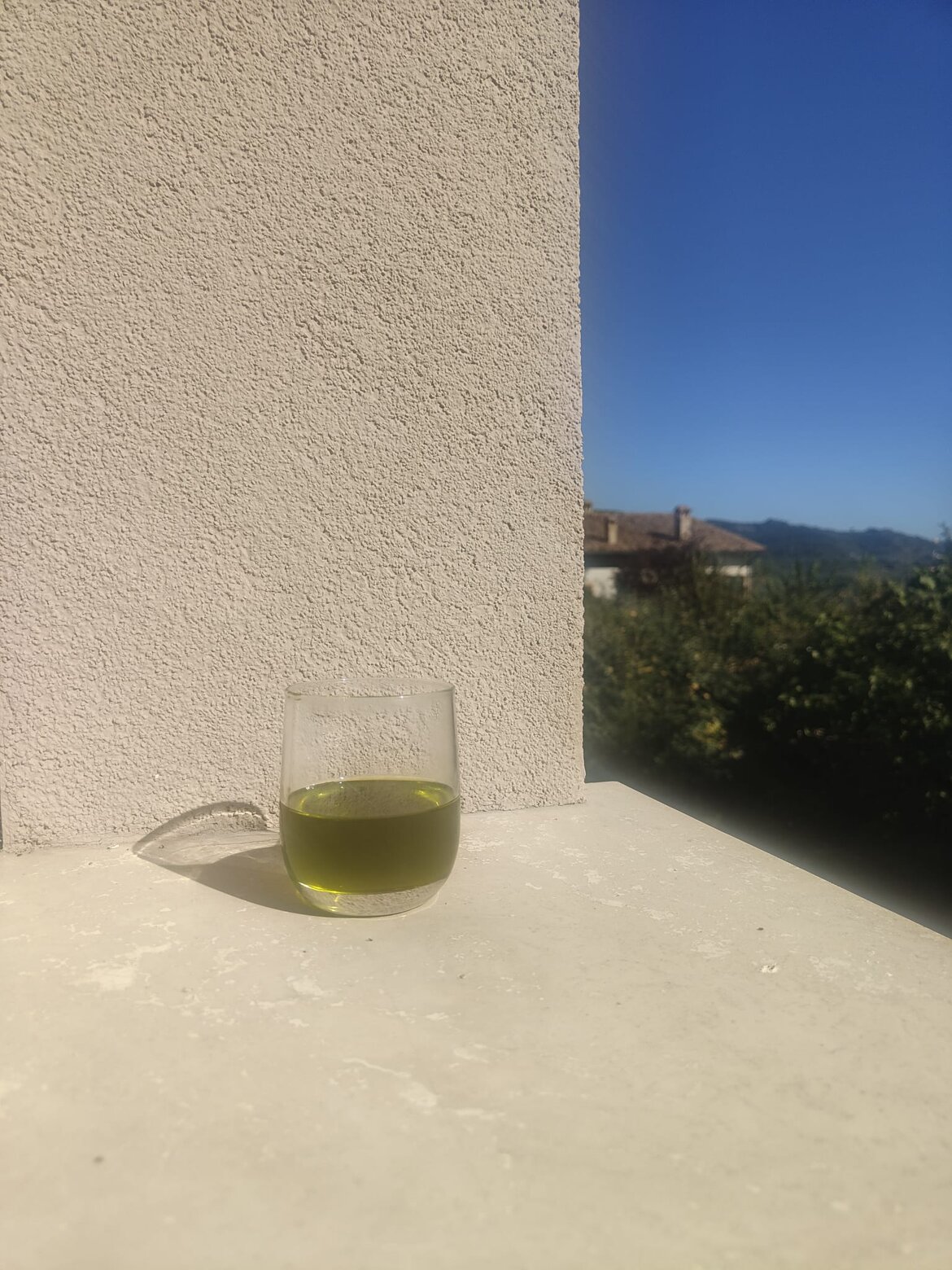 bicchiere olio nuovo 2026.jpeg bicchiere olio nuovo 2026.jpeg