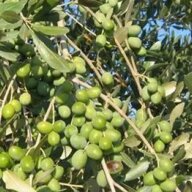 38d84b9e-f853-4292-9a98-ae1c9f78ce4e