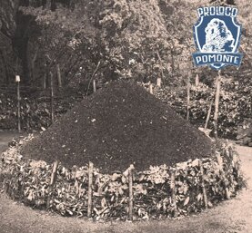 ea602907-558d-45cb-8262-666e6a977140