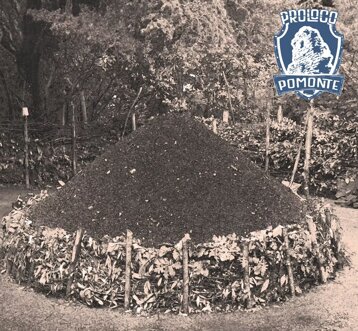 ea602907-558d-45cb-8262-666e6a977140