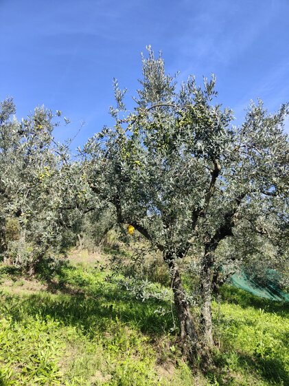 c13f9257-91a9-44d1-9012-1f3e661a912c c13f9257-91a9-44d1-9012-1f3e661a912c