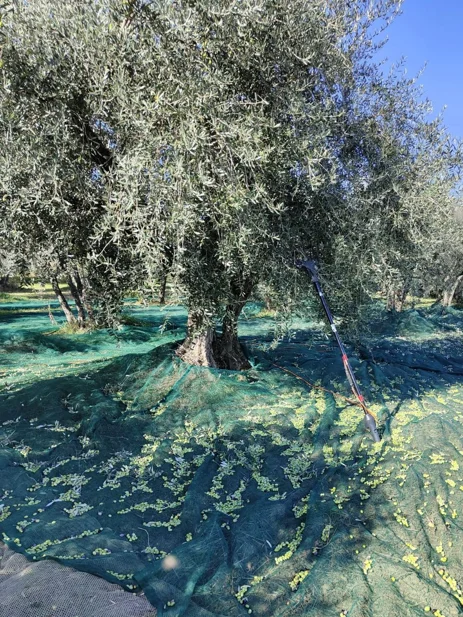 f292ff60-43b3-4886-9cbd-d070849323f2