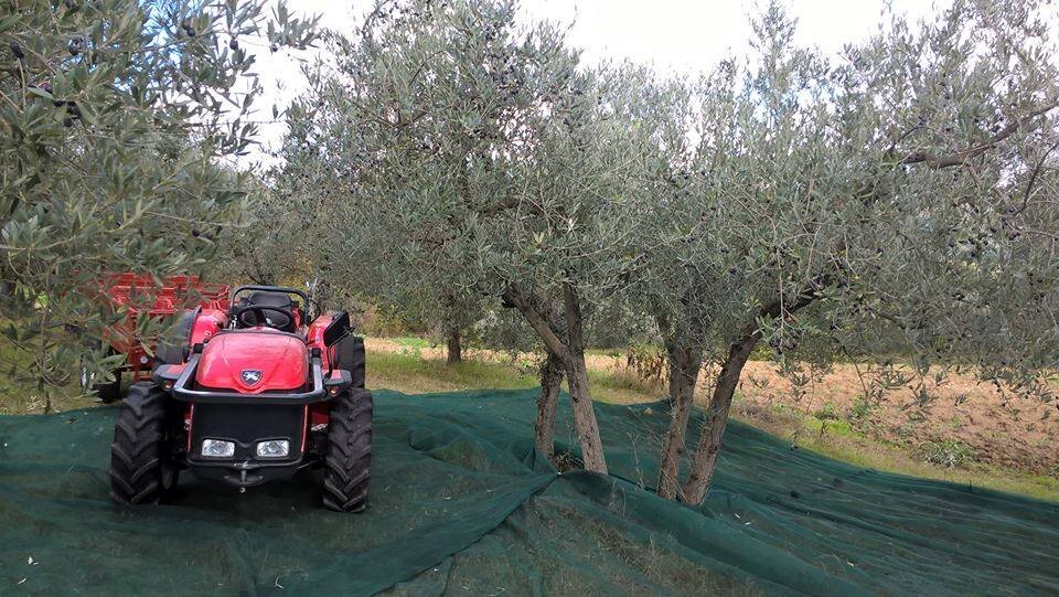 Un Pozzo di Olio - Tra Leggenda e realtà Un Pozzo di Olio - Tra Leggenda e realtà