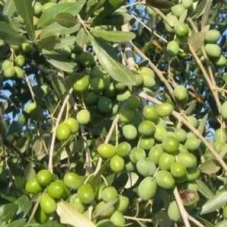 9196975e-361a-4a28-b2dd-0c57cf0de9ec