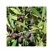 9c9e79bb-10dc-48a6-8ce2-a6cf9d75ec6d