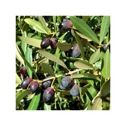 9c9e79bb-10dc-48a6-8ce2-a6cf9d75ec6d