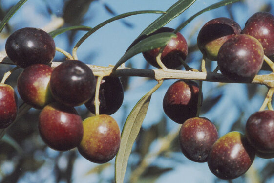 936169df-6031-4164-b842-6f9d4b57740f