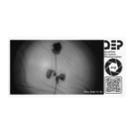 telo-mare-rosa-imagelights-and-shadow-in-the-future