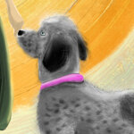 i-had-to-let-you-go-to-the-setting-sun