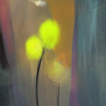 this-is-not-my-beautiful-house