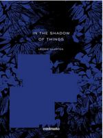 in-the-shadow-of-things-di-leonie-hampton