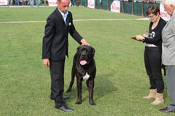 7fbdd569-f99a-4561-8b80-d422b7e51a45