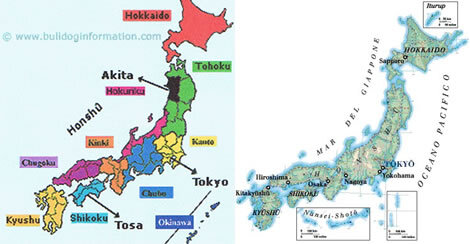 9445b8ce-54d9-4744-a136-089c8ba4aa1a