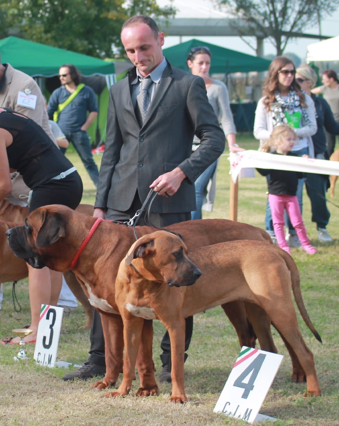 21064663-2a90-43c4-ad65-0da0678ec485