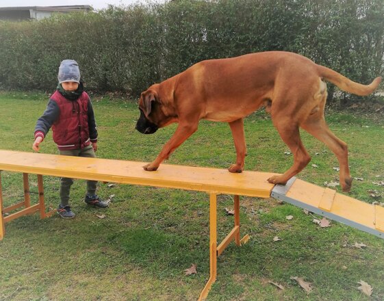 c636d18e-871a-4d5c-8a49-7ba2a0c91949