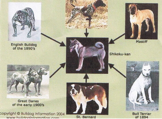 b3e7ee77-d5dd-4b94-bd78-f8be69e3f62f