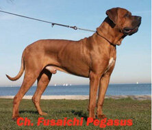 baef6028-c6ac-42ab-a990-1914fcea1bf0